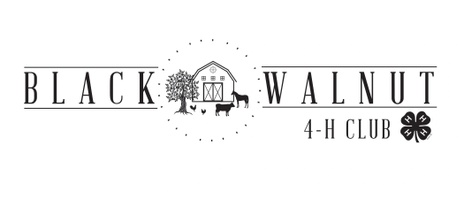 Black Walnut 4-H