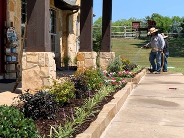 Sandstone flowerbed border , flowers , plants , drainage , soil , mulch installation 
