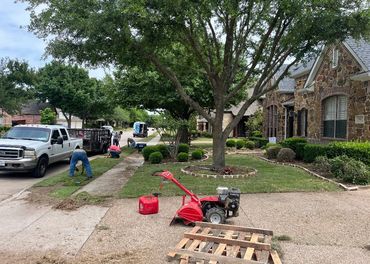 Zoysia sod installation 
