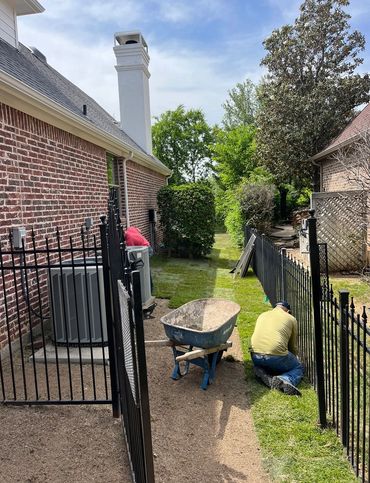 Zoysia sod installation 