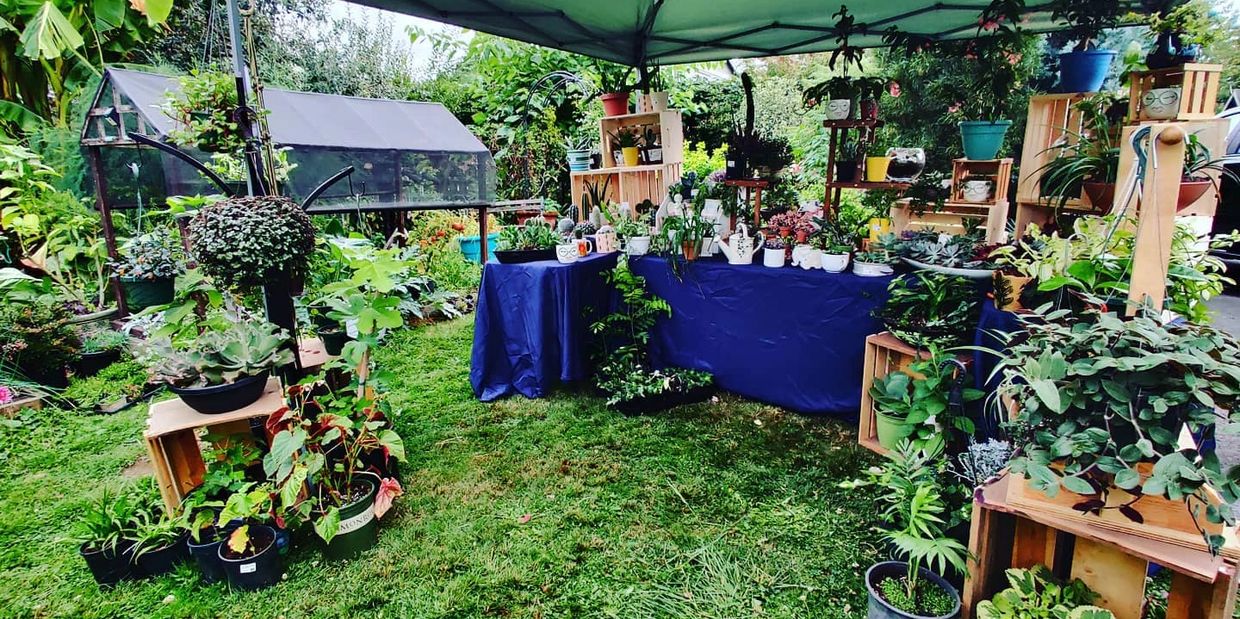 Weekend event at Parkrose Greenhouse
