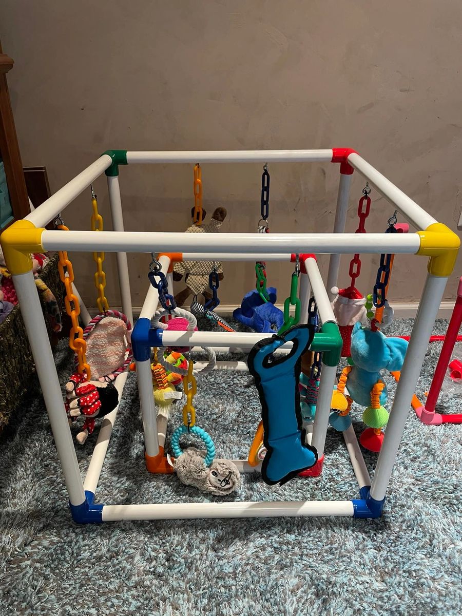 Puppy Play Gym