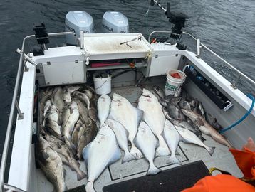 Check rates for Deep sea fishing charters in Alaska for Halibut, Rockfish and Salmon