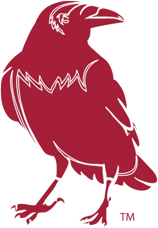 image475