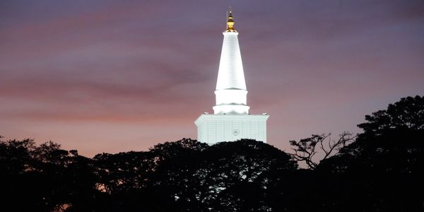 Illuminated white tower against a dusky sky with silhouetted trees.