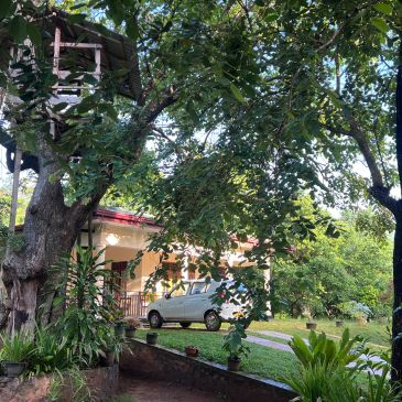 Cozy house surrounded by lush greenery and a white car parked outside.