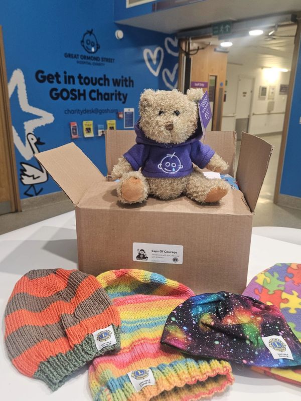 Teddy bear on a box with colorful knitted hats in a charity setting.