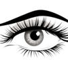 BrowLashesBeauty.com