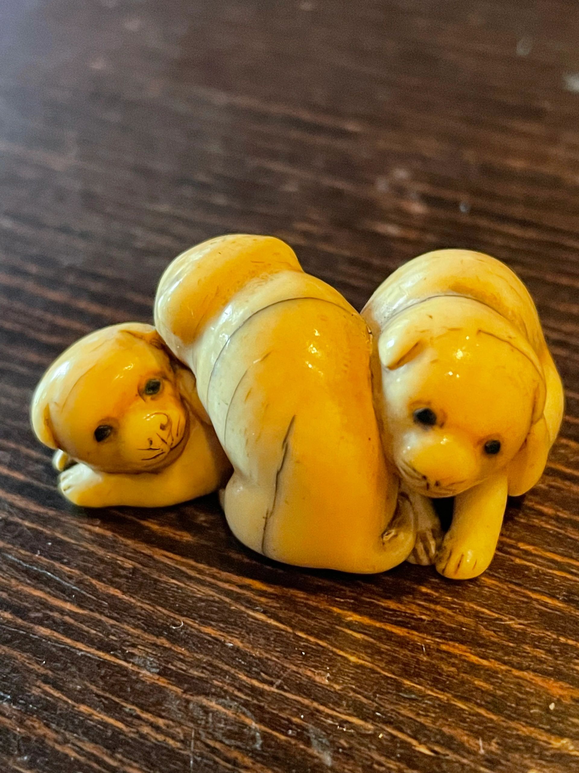 Netsuke depicting Shar Pei puppies. Signed Tomochika, Edo era