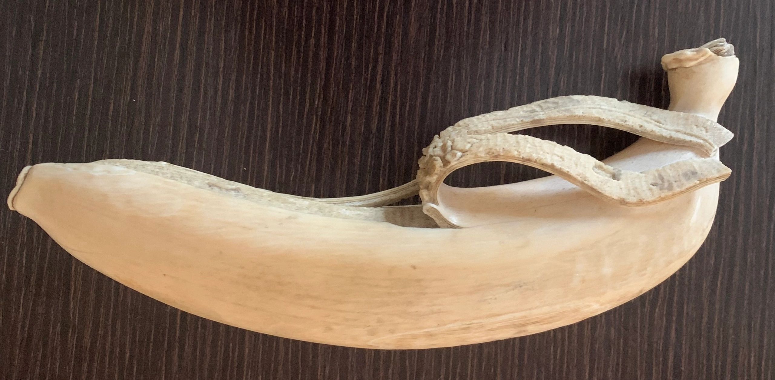 Ivory banana. Signed and dated Tokyo, Meiji 3 (1870).