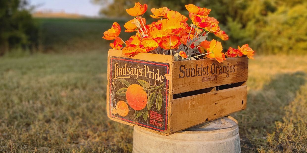 Vintage Sunkist Orange Crate with orange flowers in a lush, green landscape