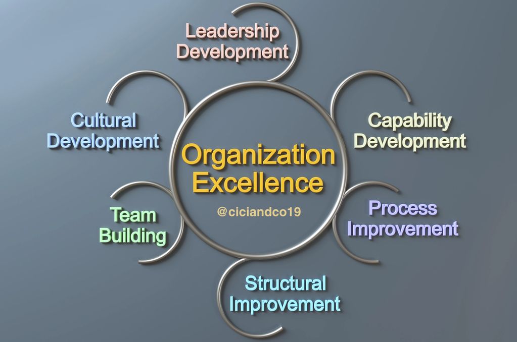 circle of words based on organization excellence