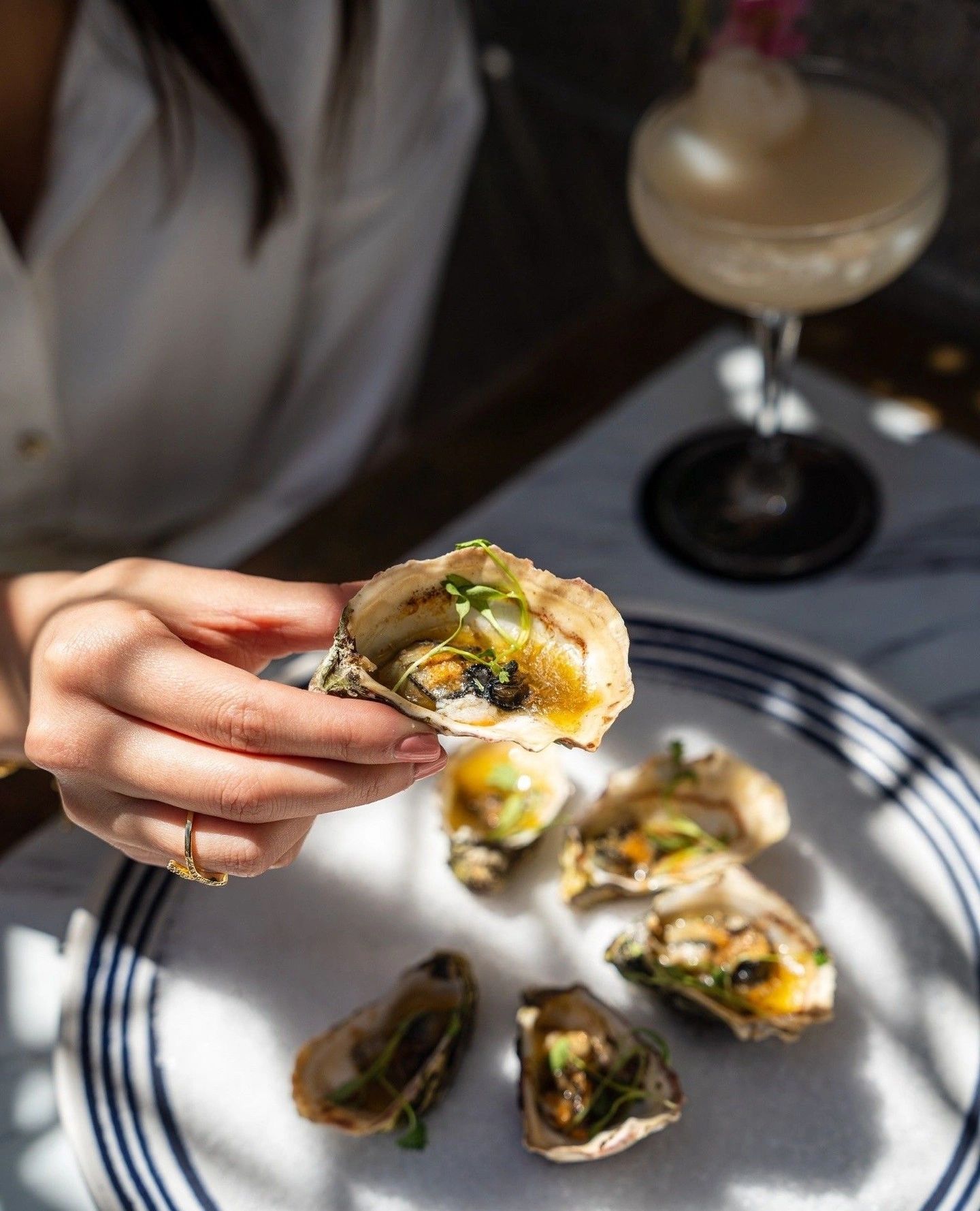 Crudo Ceviche and Oyster Bar