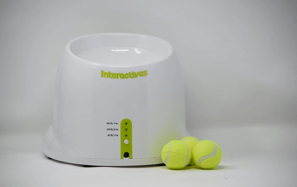 All For Paws Automatic Ball Launcher