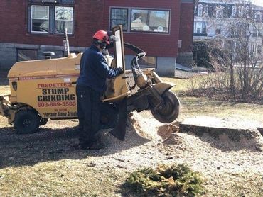 Stump grinding 