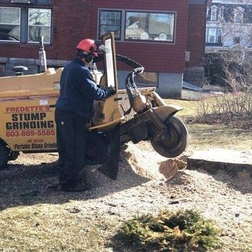 Stump grinding