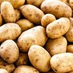 Local Potato
