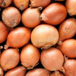 Yellow Onion