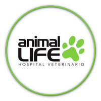 Animal Life