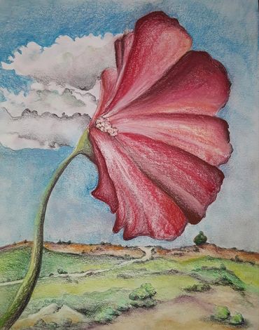 "Crimson Blossom" Colored Pencil Drawing