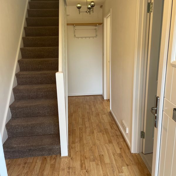 Picture of a hallway with carpet on stairs after cleaning