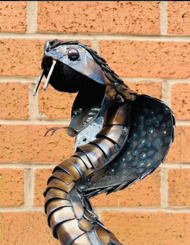 Cobra - For Sale 