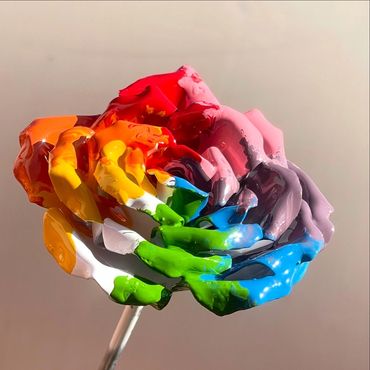 Rainbow Rose 