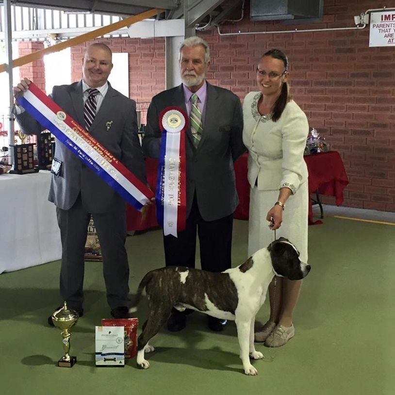 Three people with a dog and awards at a dog show.