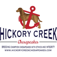 Hickory Creek Chesapeakes