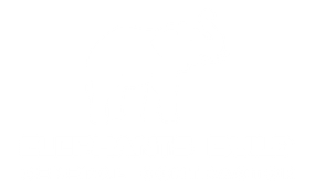 ELEPHANTS BUILD