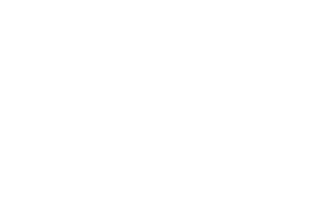 ELEPHANTS BUILD