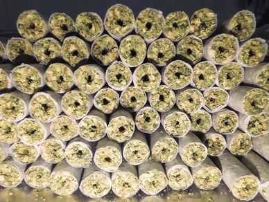 Rosin injected, rolled, craft joints made entirely with American Grown cannabis