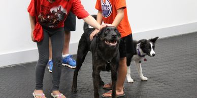 Two children petting a happy black dog with another dog nearby indoors.
