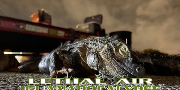 Lethal air airgun iguana hunt group trips