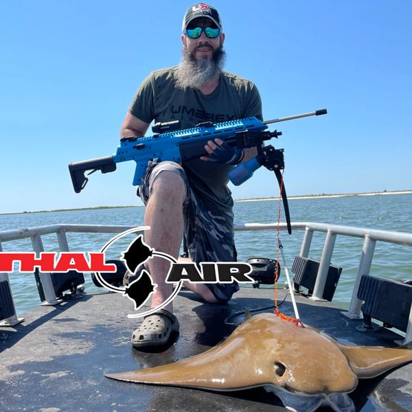 Airgun arrowgun bow fishing Umarex Fishr stingrays 