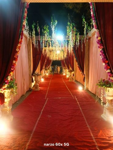 Decorated and lit event walkway at night with red carpet.