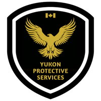 International Corporate Security