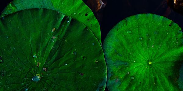 Beautiful stock photo