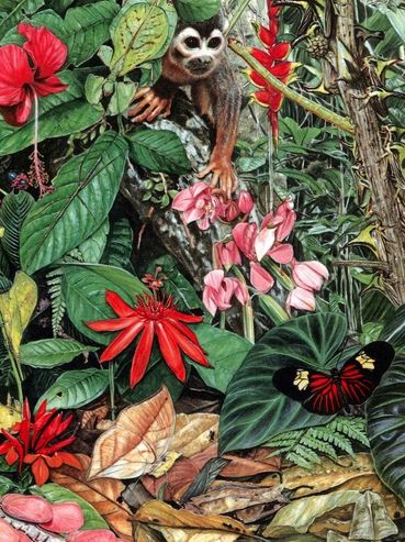 Monkey in jungle scene, Adam Hook artist and illustrator