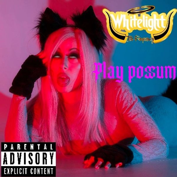 WhiteLight The Frequency Play Possum Album Art