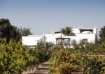 uxury Masseria Puglia
Masseria   Puglia
Masseria vacation rental