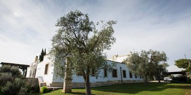 Luxury Masseria Puglia
Masseria   Puglia
Masseria vacation rental