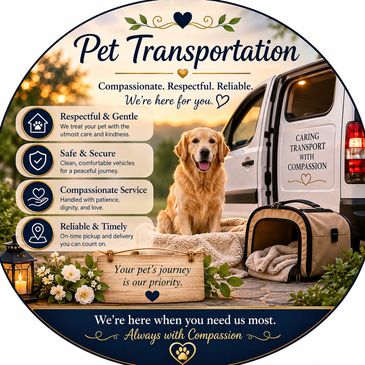Golden retriever with pet transport gear, showcasing compassionate pet transportation service.