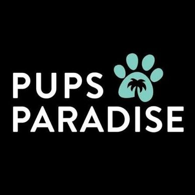Logo for Pups Paradise featuring a paw print with a palm tree inside.