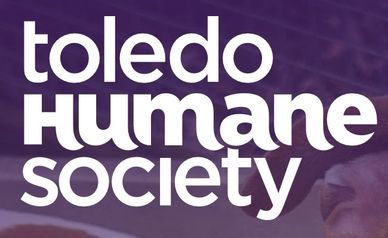 Logo of Toledo Humane Society with bold white text on a purple background.