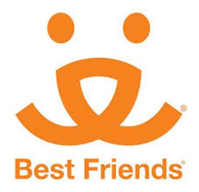 Resources grief animals pet loss stories friends
