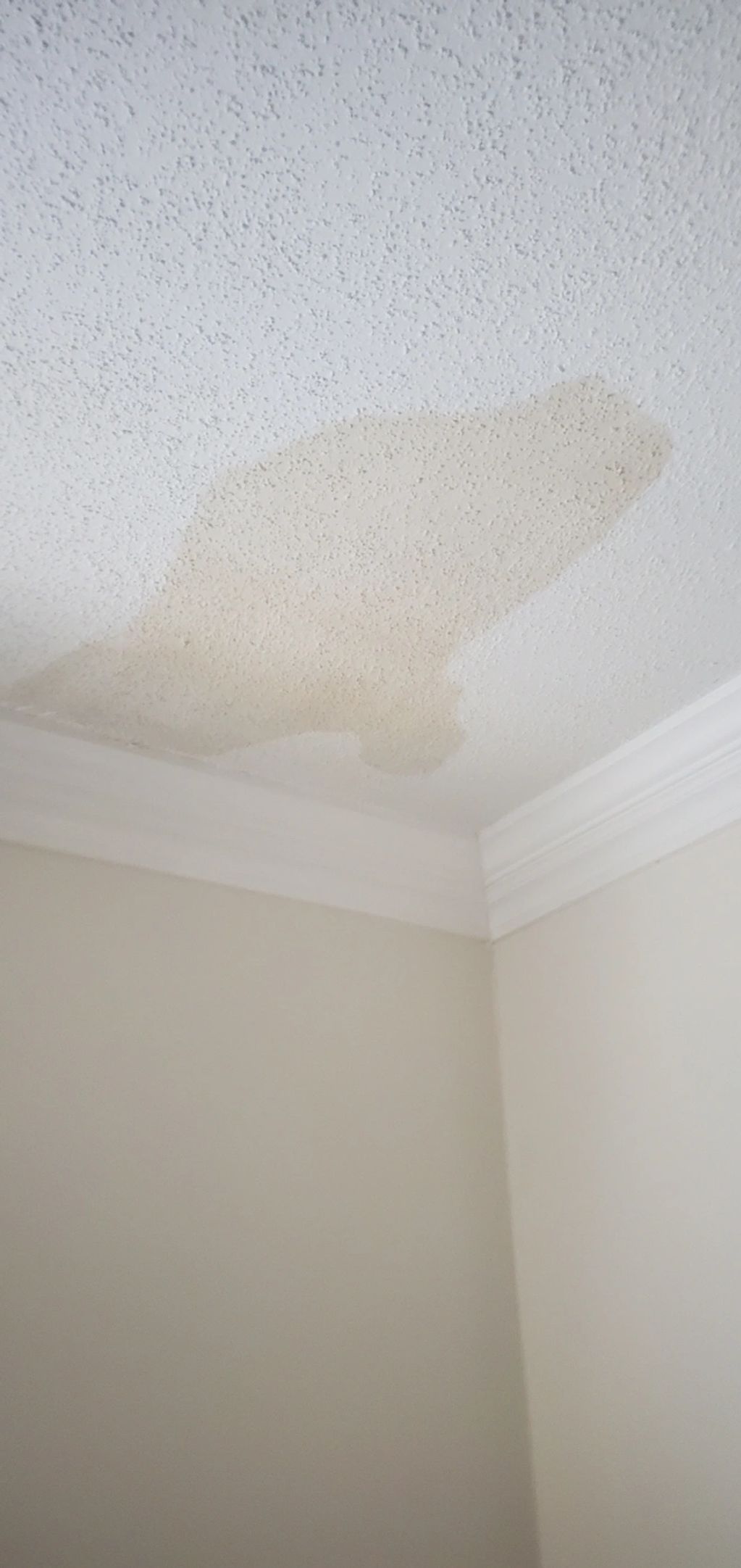 Ceiling Stain Leaking roof 