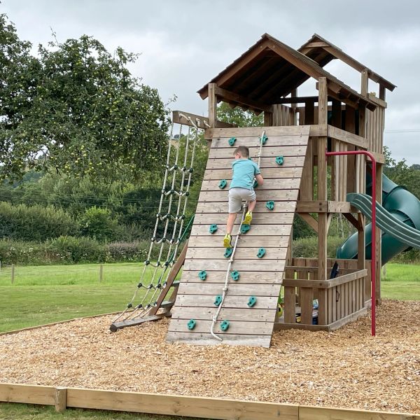 Young boy reaches the top of the climbing wall.
