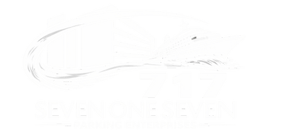 717 Parking Tampa Cruise Port Parking