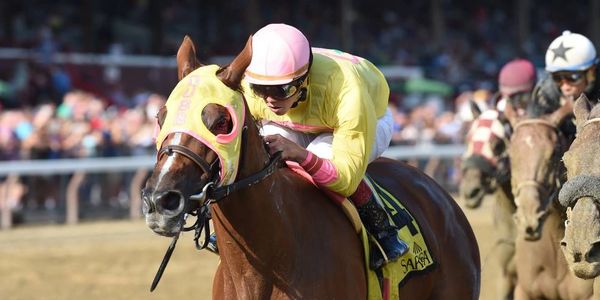 Literatta, bred by the farm, with another win